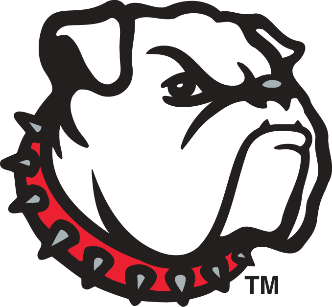 Georgia Bulldogs 1996-2000 Alternate Logo diy DTF decal sticker